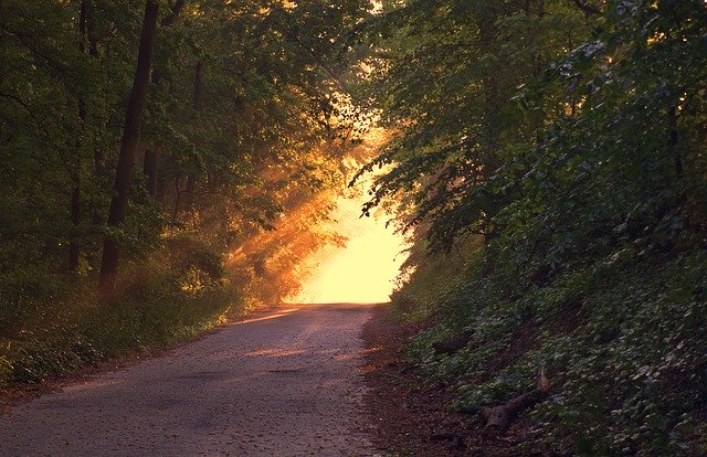 Luz en el Sendero